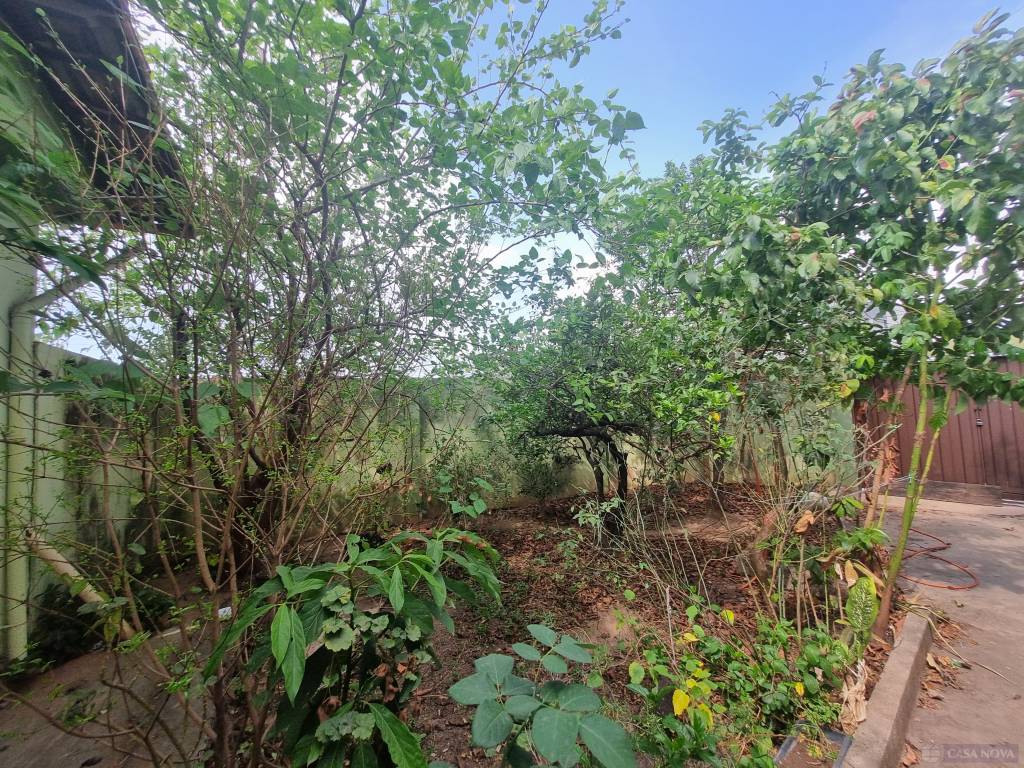 Venda, Casa, Halin Souki, Divinopolis, Quintal