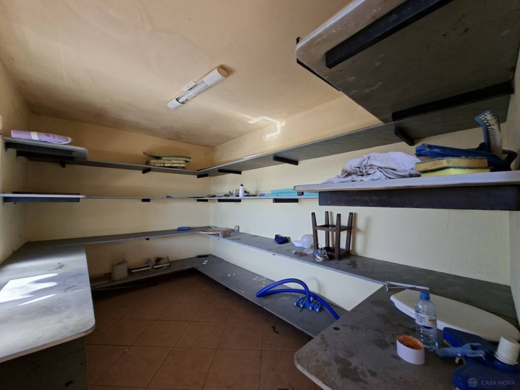 Aluguel, Casa, Santa Cruz, Ermida, Dispensa 